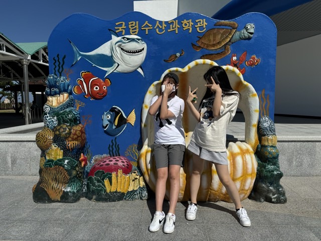 둥지-2024-09월-62606846952.jpg