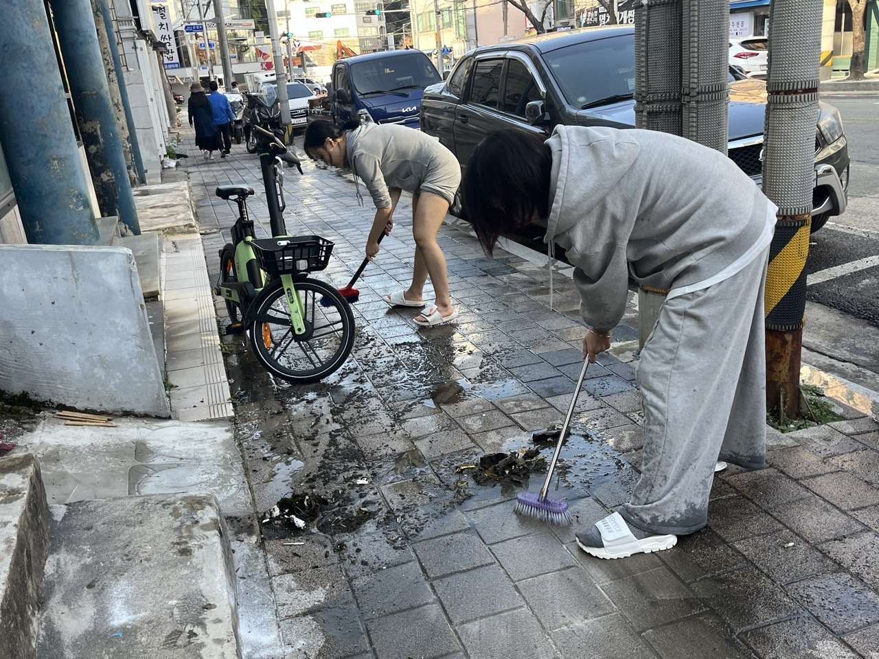 둥지-2024-11월-64435622090.jpg
