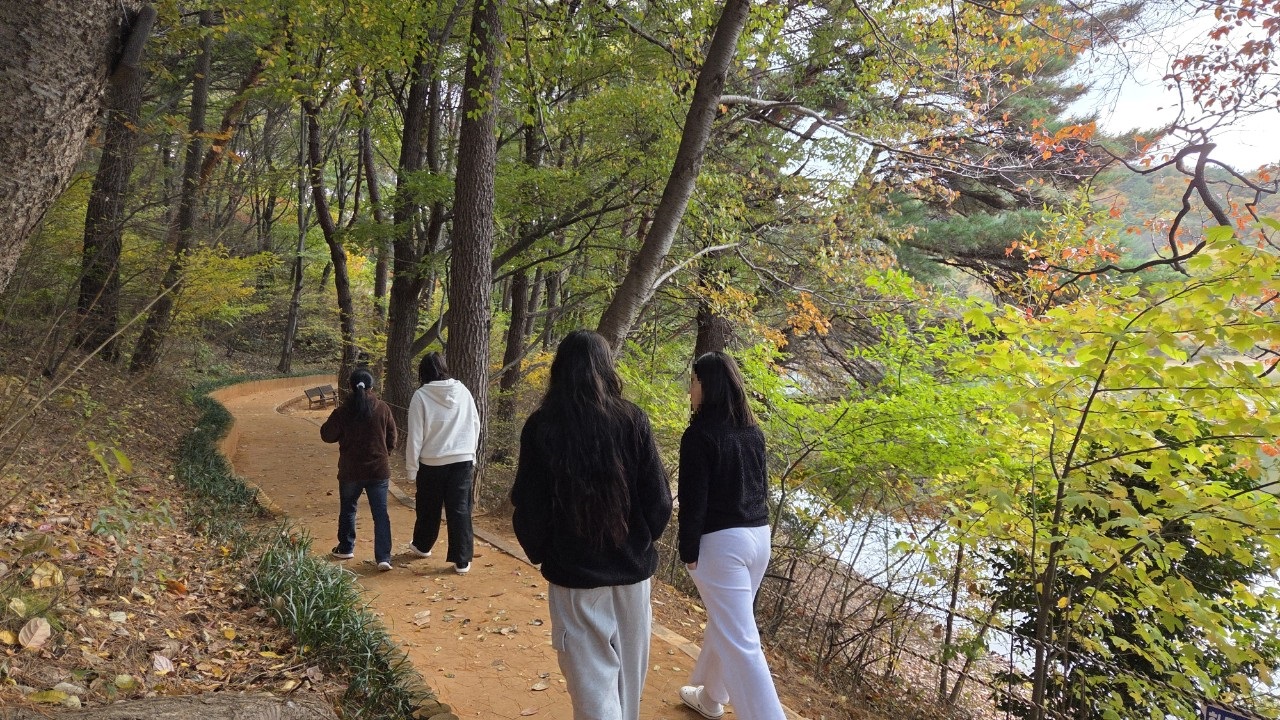 둥지-2025-11월-73508777169.jpg