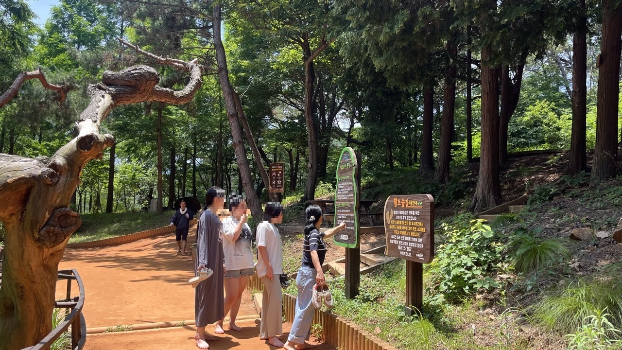 둥지-2025-06월-70020843479.jpg